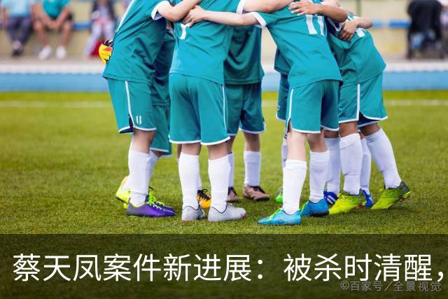 蔡天凤案件新进展：被杀时清醒，母亲揭示两家复杂关系