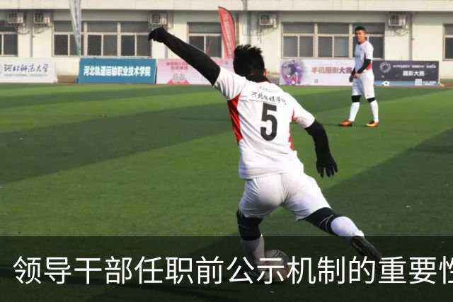领导干部任职前公示机制的重要性与应用